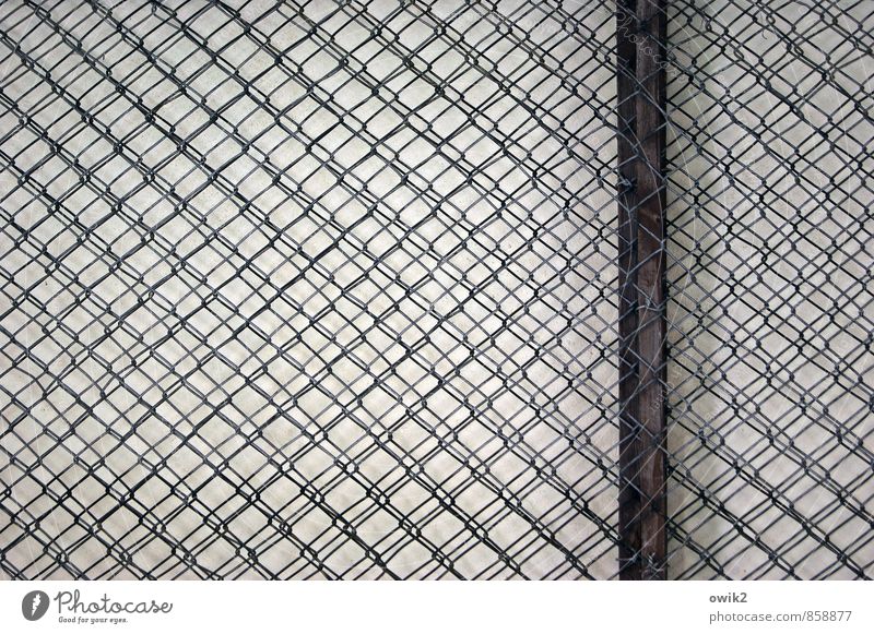 landline Wire netting fence Reticular Net Network Narrow Firm tight Plaited wickerwork Metalware Wood Rod Frame Part Near Protection Equal Complex Superimposed