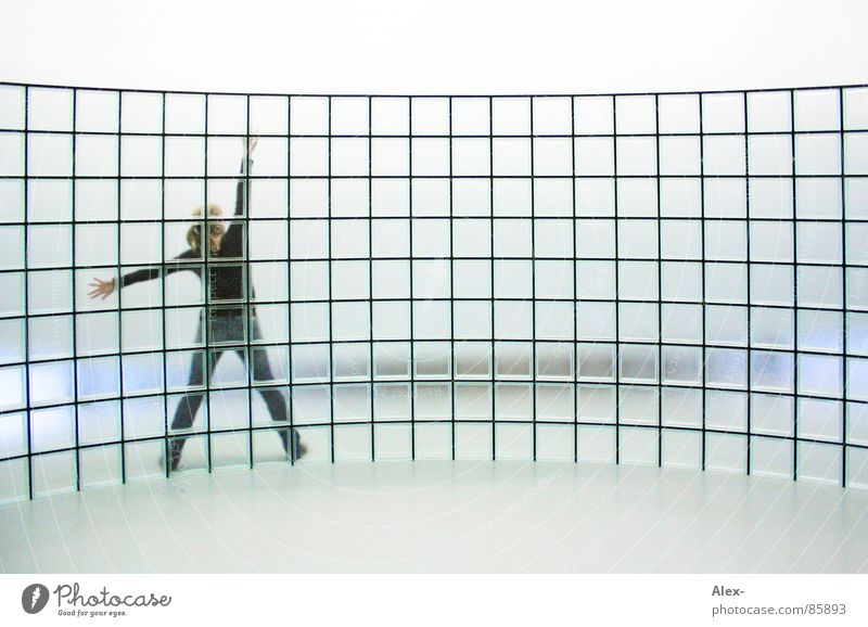 cross-linked Wall (building) Transparent Vaulting Interlaced Matrix Grid Bright background Glass block Glass wall Woman Rear view Stretching Cyber Cyberspace