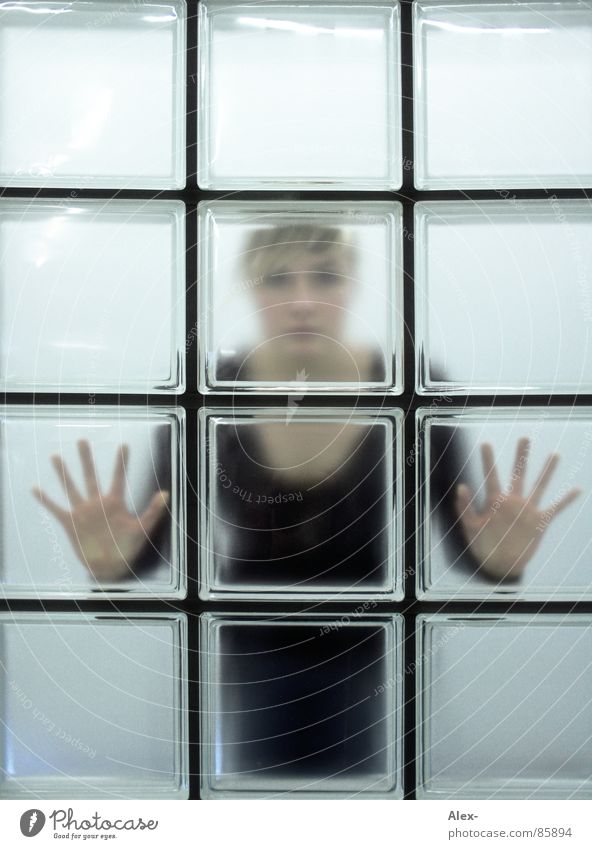 iced Cold Window Looking Hand Woman Square Rectangle flash-freeze peep through lydia Net Wait