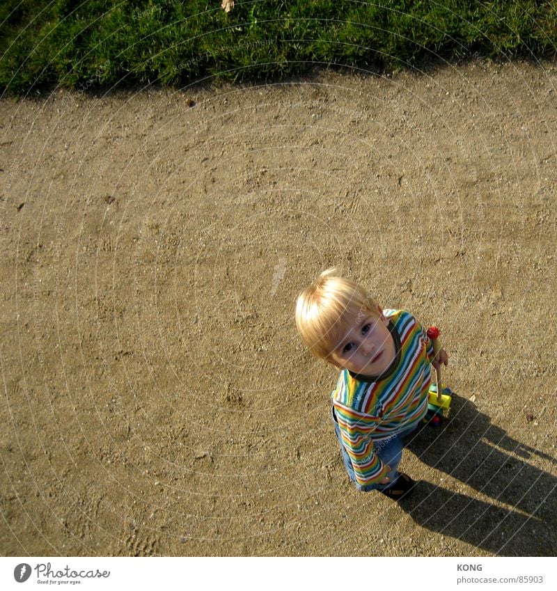 Papa's bigger. Blonde Child Toddler Stripe Striped Meadow Grass Looking Boy (child) Curiosity Fix Beige Discover Sunbathing Interest Communicate Above Upward