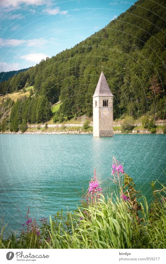 The village of Alt-Graun flooded in 1950 Tourism Nature Landscape Sky Summer Beautiful weather Flower Blossom Forest Alps Lakeside South Tyrol Village Deserted