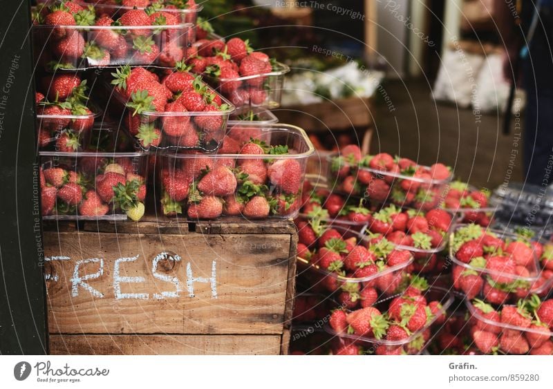 strawberry season Food Fruit Nutrition Market stall Trade Gastronomy Spring Strawberry Box Shopping Sell Fresh Healthy Delicious Brown Red Colour photo