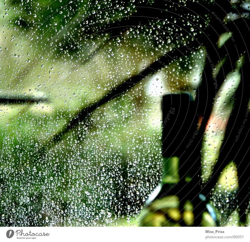 Drops in green Bottle of wine Green Still Life Decent Grief Hope Unclear Indefinite Beautiful Rain Sadness