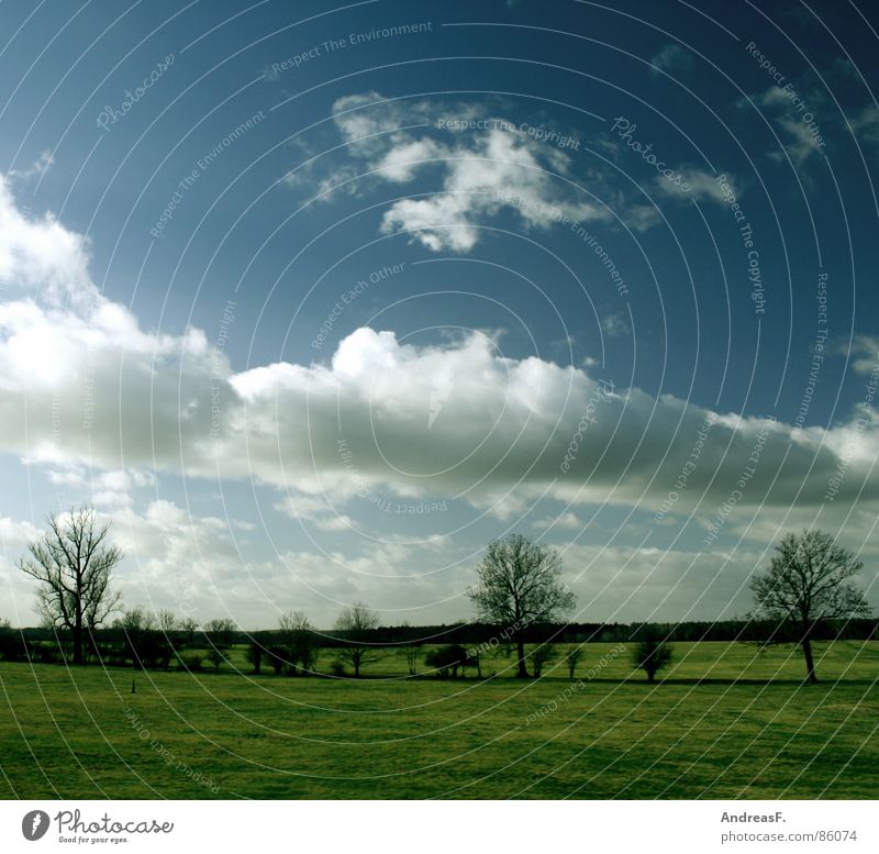 Beautiful weather2 Summer Spring Pol-filter Field Meadow Meteorology Bushes Sky Weather Sun Blue sky Americas Landscape Climate