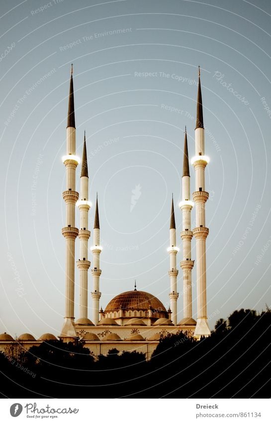 mosque Architecture Culture Town Capital city Manmade structures Building Mosque Minaret Domed roof Tourist Attraction Stone Large Blue Brown Yellow Gold