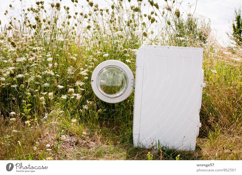 eco-wash Washer automatic washing machine Environment Plant Summer Roadside Discover Old Sharp-edged Green White Trash Waste management Illegal Dispose of