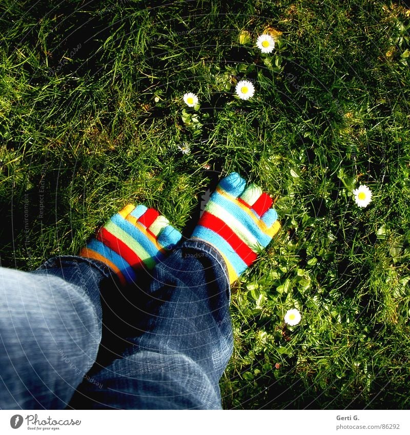 Spring feet - Part l Stockings Striped socks Multicoloured Daisy Yellow Grass Meadow Toes Jeans Going Spring fever Joy toe socks vernally Beautiful weather
