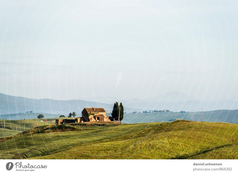 Anti-stress hut with cypresses Relaxation Calm Vacation & Travel Tourism Summer Landscape Meadow Field Hill Hut Green Loneliness Horizon Far-off places