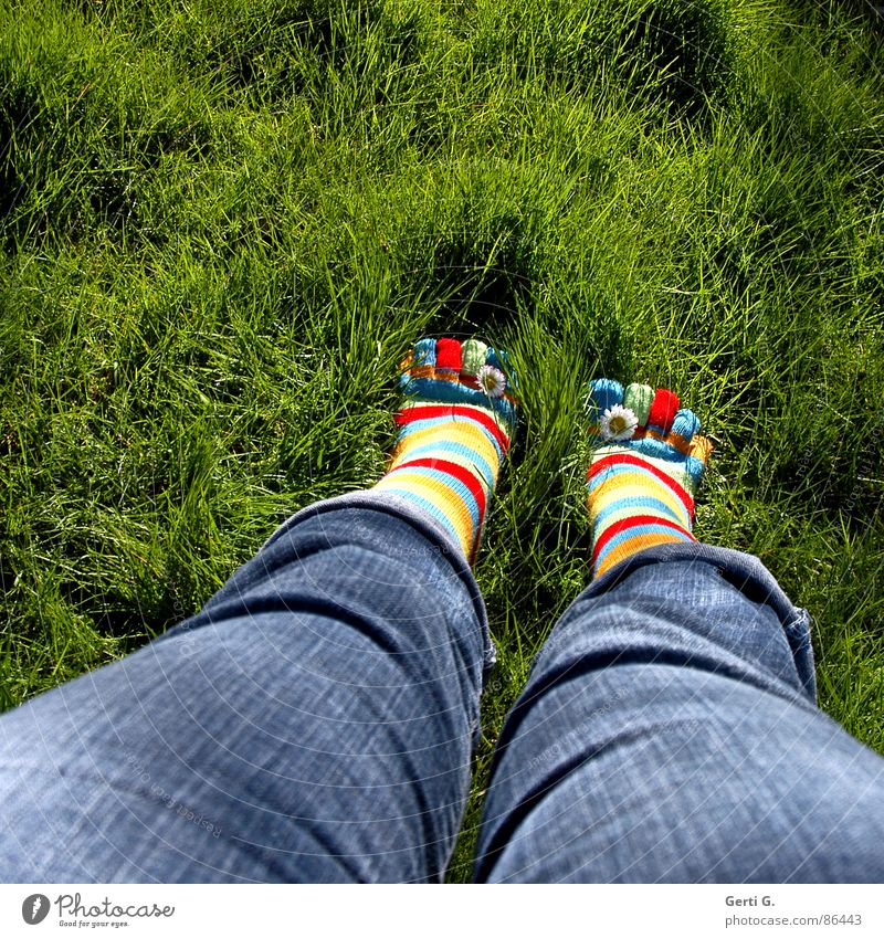 Spring Feet Part ll Stockings Striped socks Multicoloured Daisy Yellow Grass Meadow Toes Jeans Stand Spring fever Summer Joy toe socks vernally