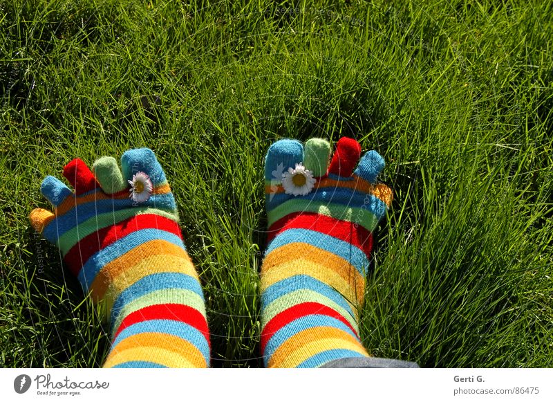 wave in spring Stockings Striped socks Multicoloured Spring Daisy Yellow Grass Meadow Toes Spring fever Sunlight Juicy Summer Joy toe socks vernally