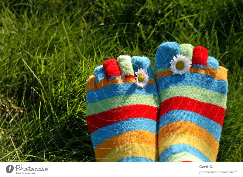 Two Feet Wearing Colorful Socks And One Sock Is Showing A Hole In It And  Standing On Artificial Grass Or Turf Stock Photo, Picture and Royalty Free  Image. Image 14736343.