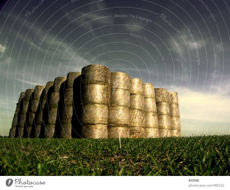 straw castle Bulky Defensive Straw Bale of straw Meadow Field Sky blue Middle Clouds Green Large Agriculture Common land Supply Storage Keep Roll of straw