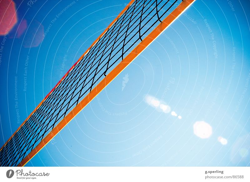 summer on the net! Summer Playing Sunbeam Patch of light Sports Martial arts Volleyball (sport) Net Sky Lens flare