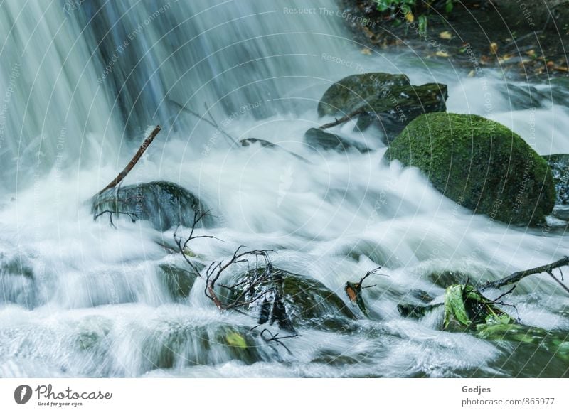 Long exposure stones in a waterfall Nature Water Moss Leaf Waterfall Stone Wood pretty Blue Brown Gray Green Black White Force Purity Relaxation Peace Cold