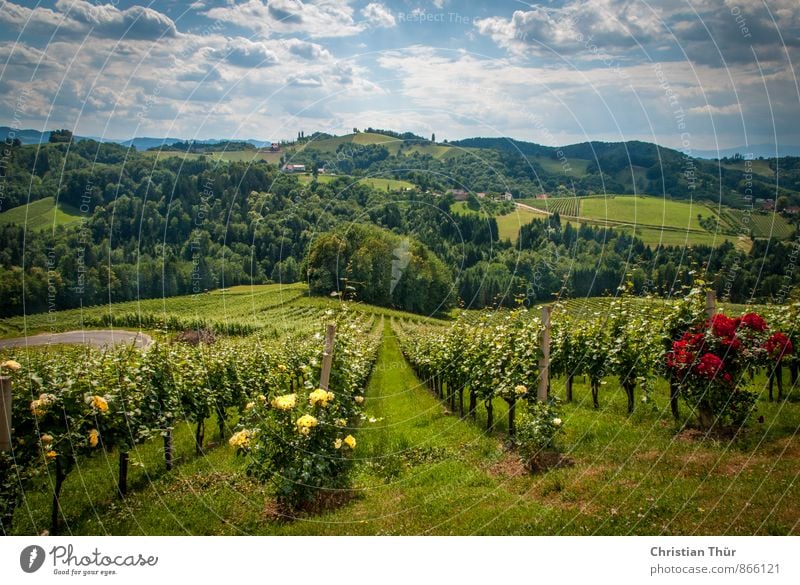 Far Land Styria / Gamlitz Wellness Harmonious Well-being Contentment Senses Relaxation Calm Meditation Leisure and hobbies Vacation & Travel Tourism Trip