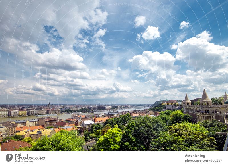 Budapest Environment Nature Landscape Plant Air Sky Clouds Horizon Summer Beautiful weather Tree Park River Danube Hungary Town Capital city Downtown Populated