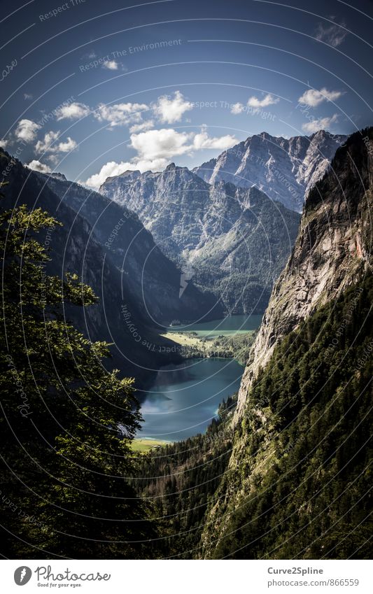 idyllic Nature Landscape Elements Sky Clouds Summer Beautiful weather Tree Alps Mountain Peak Lakeside Berchtesgaden Berchtesgaden Alpes Esthetic Free Natural