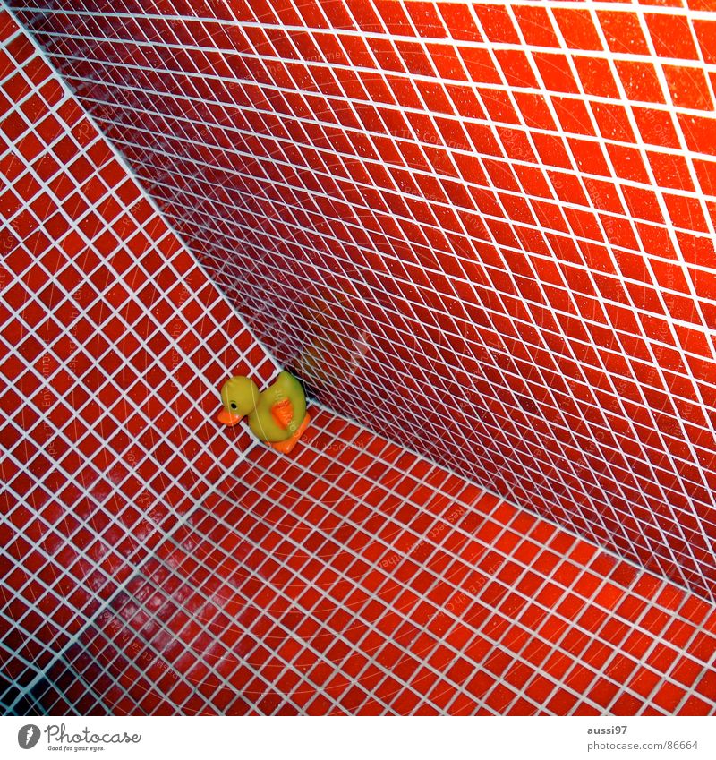Q.-e. I love you! Red Bathroom Squeak duck Drake Corner Swimming pool Cubism Downward Duck Tile Perspective cuboid Vertigo slide down