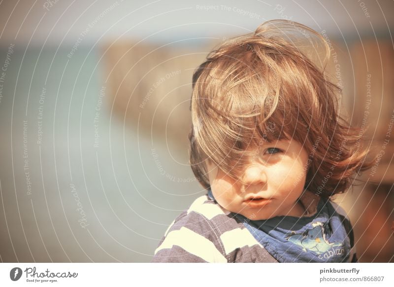 Gone with the wind... Wellness Contentment Summer Summer vacation Sun Beach Ocean Human being Masculine Toddler Boy (child) Head Hair and hairstyles Face 1