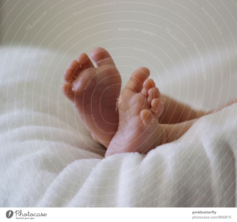 Spreaded toes Joy - a Royalty Free Stock Photo from Photocase