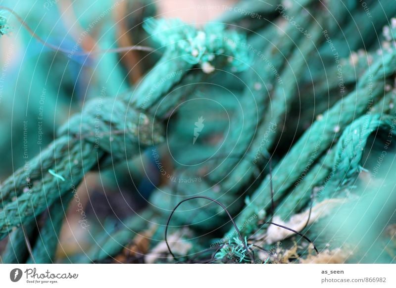 ropes Vacation & Travel Tourism Ocean Environment Navigation Harbour Rope On board Net Network Knot Lie Tug-of-war Old Esthetic Maritime Green Turquoise