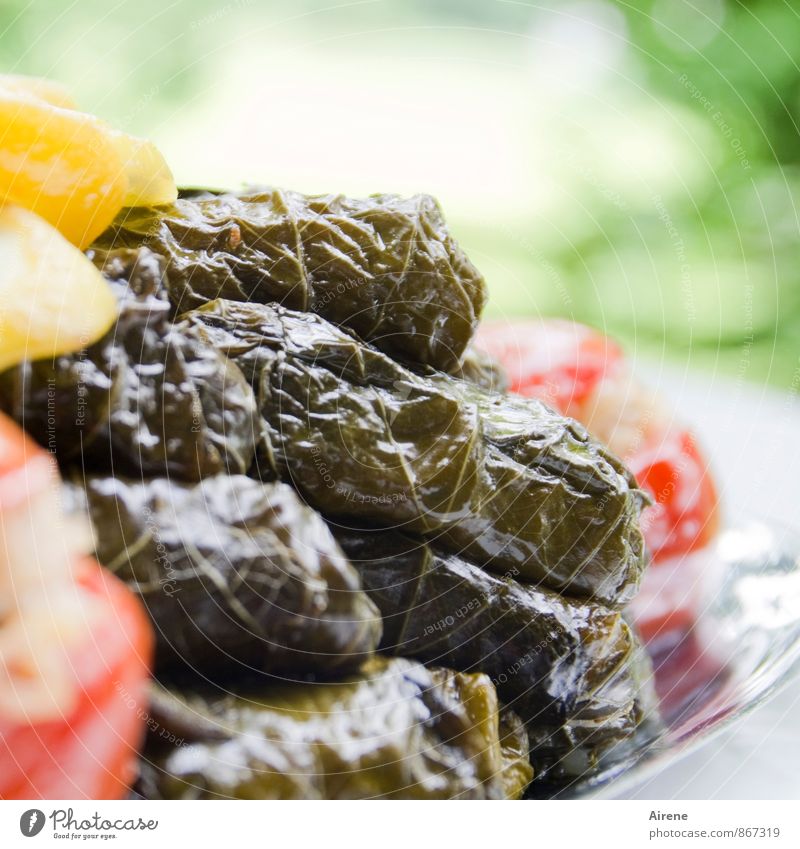 stuffed vine leaves Vegetable Lettuce Salad Fruit Cooking oil Lemon Tomato Vine leaf Olive oil Nutrition Buffet Brunch Picnic Vegetarian diet Mediterranean