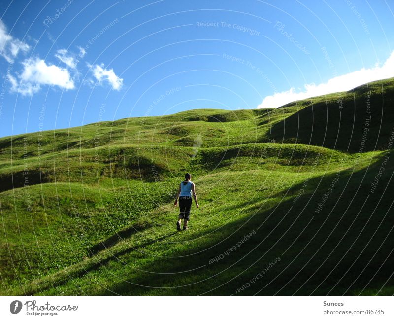 green meadow Meadow Hiking Alpine pasture Green Clouds Mountain meadow Windows theme Blue sky