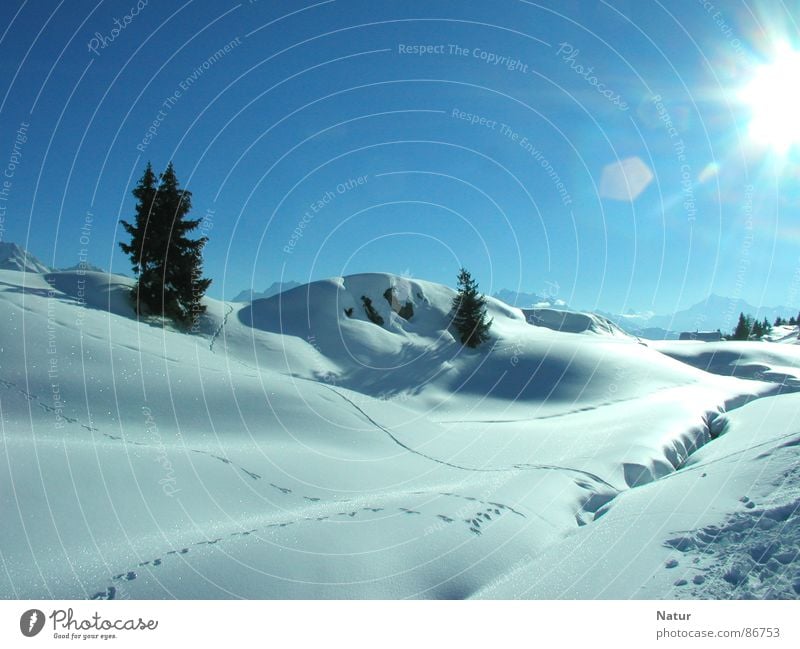 Sunny snowy landscape of Riederalp Snow Switzerland Region Valley floor Esthetic Winter Animal tracks Beautiful weather Mountain Nature Snow layer Snowscape