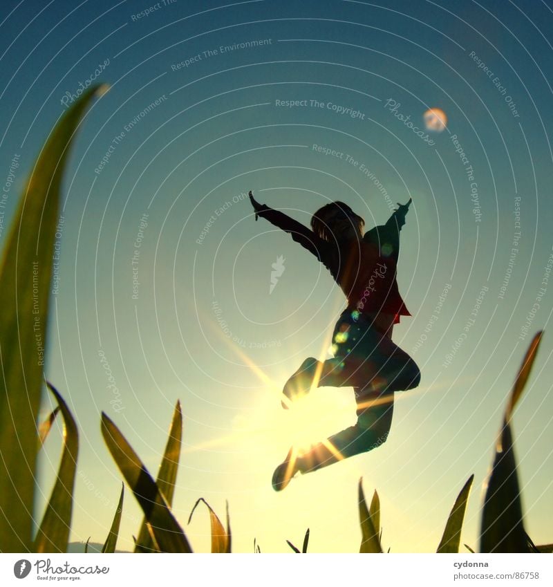 High up I Hop Spring Meadow Grass Green Style Sunset Posture Blade of grass Worm's-eye view Woman Sunbeam Emotions Human being Flying Joy Nature Landscape