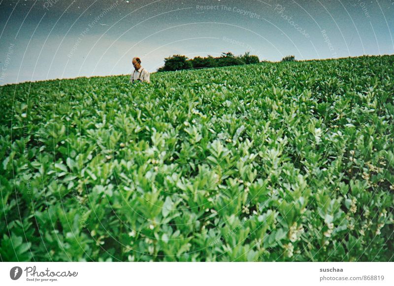 man sticking out of an agricultural field | quality check Masculine Man Adults Environment Nature Landscape Plant Sky Summer Climate Foliage plant Field