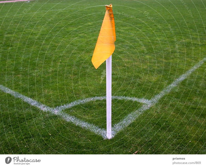 corner flag Playing field Corner World Cup Sports Soccer Line Lawn