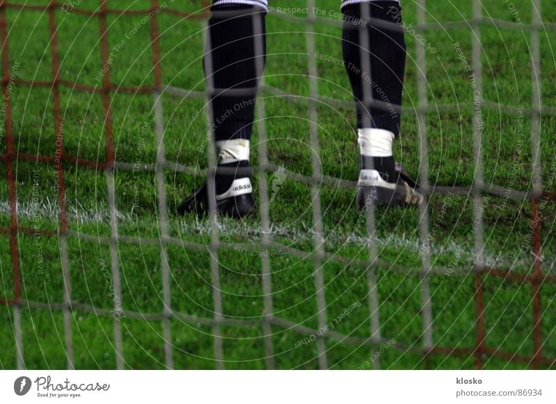 goalkeeper Goalkeeper Stand Sneakers Green League Playing Sporting grounds Sports club Athlete Soccer club Soccer team Sporting event Young man