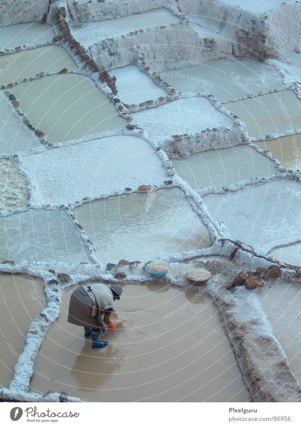 salt Woman Basket Peru Ladle South America skim I know. terraced salt terrace Salt Work and employment Basin Water
