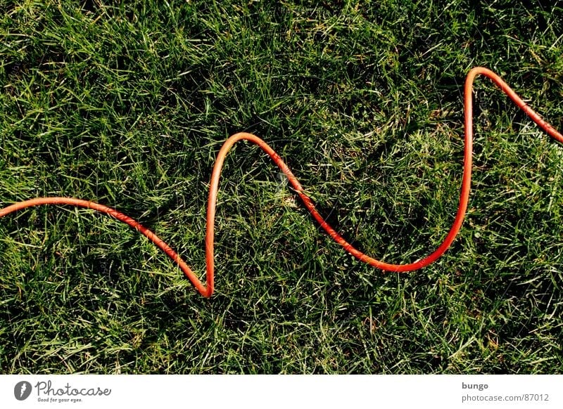 Grass under cable Cable Meadow Summer Spring Blade of grass Subsoil Electricity Arches National Park Jump Connection Communicate bow attach blades of grass Line