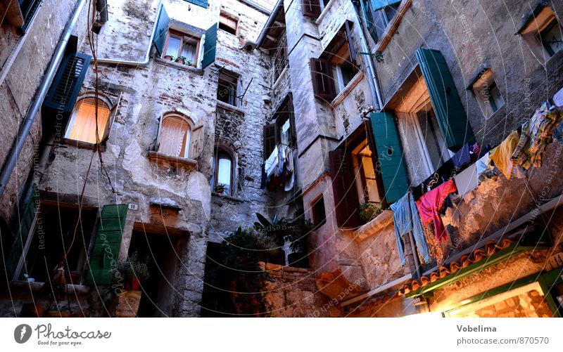Houses in Rovinj, in the evening Tourism Living or residing House (Residential Structure) Village Port City Old town Manmade structures Building Architecture