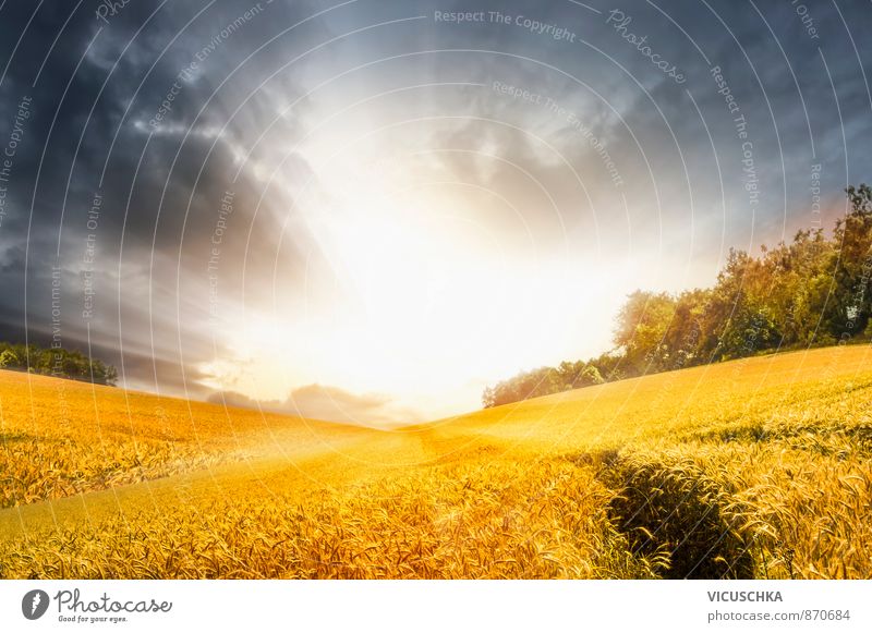 Autumn landscape with stormy sky and sunshine Summer Nature Sky Storm clouds Horizon Sun Sunrise Sunset Sunlight Meadow Field Hill Blue Yellow Gold