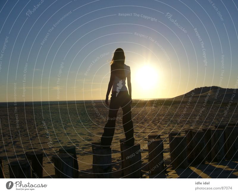 la pointe Atlantic Ocean France Summer Sunbathing Natural phenomenon Sunset Multiple Young woman Shadow Freckles Beach Coast Nature warm season close to the sun