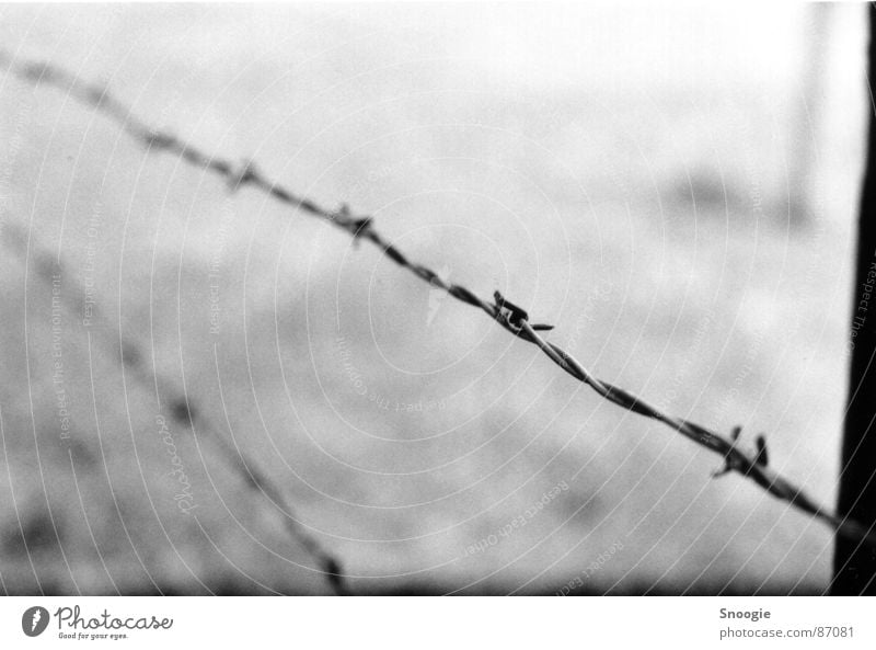 barbed wire of death stud farm Concentration camp Poland Tourist Attraction Monument Steel Sadness Aggression Creepy Gray Black White Emotions Fear Horror