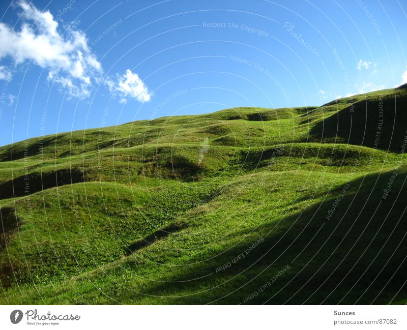 meadow Meadow Green Clean Beautiful Alpine pasture Grass Tasty Heavenly Sky Mountain Landscape Esthetic Lawn