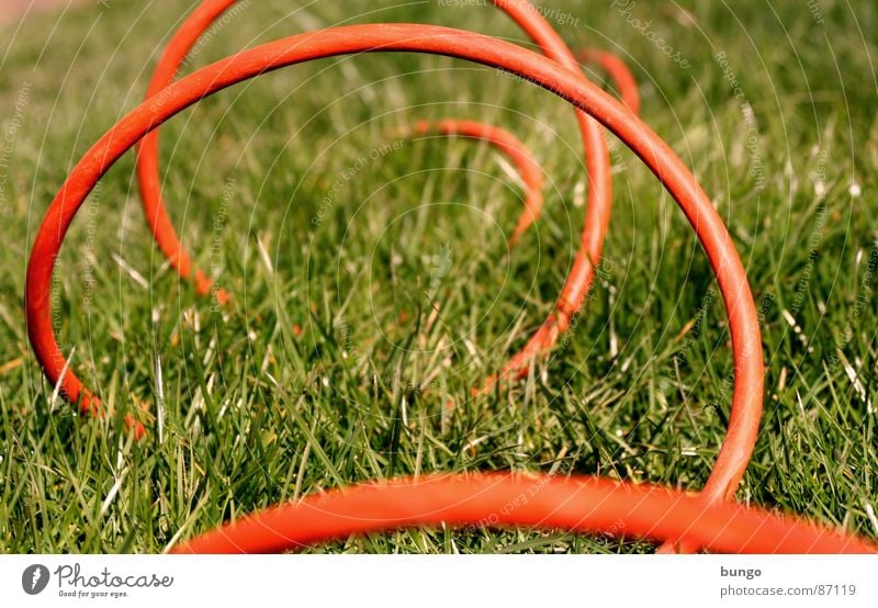 Keep Rollin' Cable Grass Meadow Summer Spring Blade of grass Subsoil Electricity Arches National Park Jump Connection Communicate bow attach blades of grass