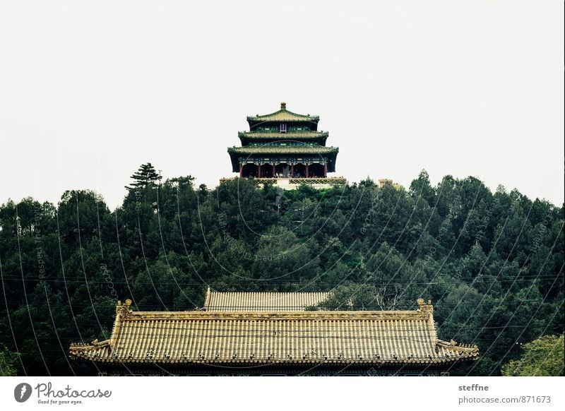 coal mountain Tree Beijing China Old town Palace Tourist Attraction Landmark Forbidden city Exceptional Asian architecture Colour photo Copy Space top