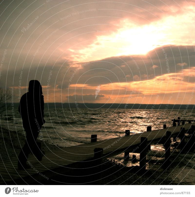 The young man and the sea Footbridge Lake Ocean Clouds Man Young man Go off Back-light Discover Waves Gravel Beach Lake Ammer Herrsching am Ammersee Lakeside