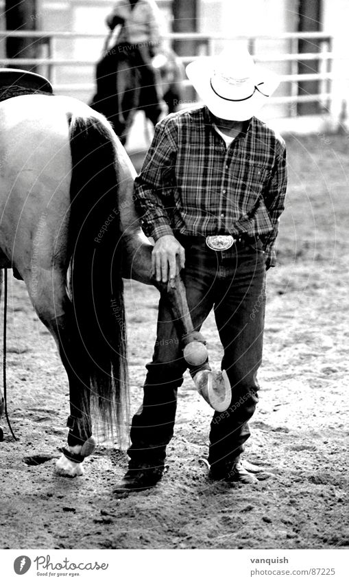 Dunit, my Friend Horse Western Cowboy Sporting event Playing Equestrian sports Mammal quarter Wiener Neustadt erich felber American Three Star Dun It Rider