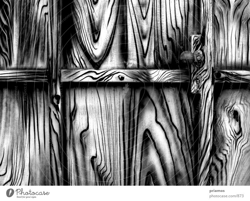 zebra Closed Photographic technology Black & white photo Door Gate