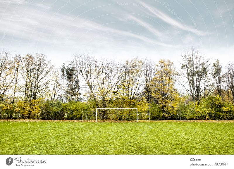 GAME R A U U M Leisure and hobbies Playing Sporting Complex Football pitch Soccer Goal Nature Landscape Sky Autumn Beautiful weather Bushes Meadow Natural Blue
