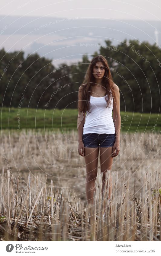 young, slim, beautiful woman stands straight on a mowed field and looks into the camera Young woman Youth (Young adults) 18 - 30 years Adults Landscape