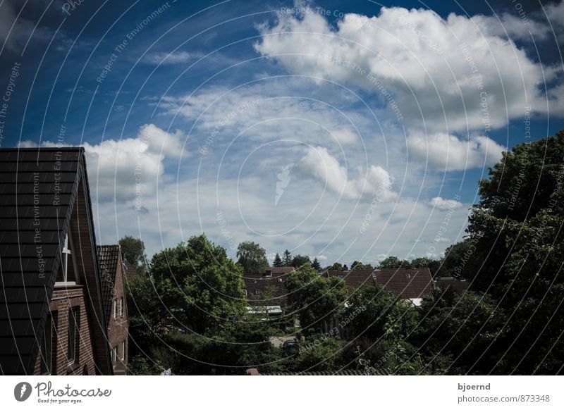 village idyll Landscape Sky Clouds Tree Village Small Town Detached house Manmade structures Building Architecture Wall (barrier) Wall (building) Facade Window