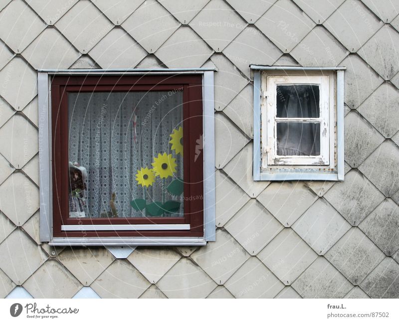 Window to happiness House (Residential Structure) Wall (building) Sunflower Curtain Living or residing Doll Kitsch Old