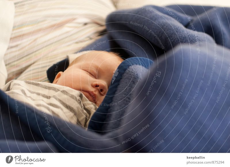 Baby sleeps Human being Feminine Body Head 1 0 - 12 months Lie Sleep Dream Blue Safety Colour photo Interior shot Copy Space right Day Light Bird's-eye view