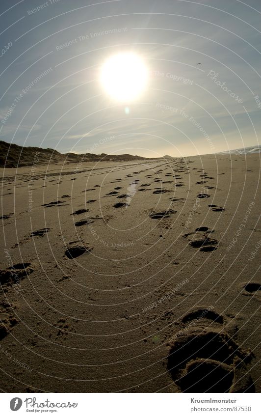 beach Beach Sylt Footprint Clouds Winter Coast Sand Sun Sky